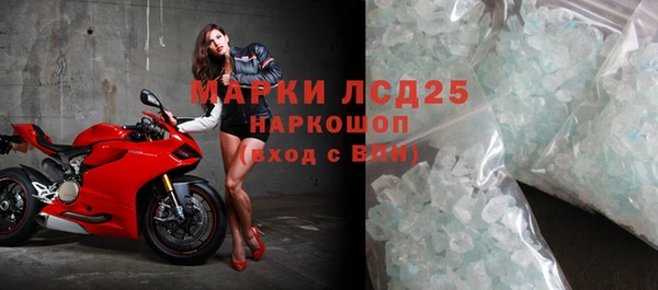 прущие грибы Куйбышев