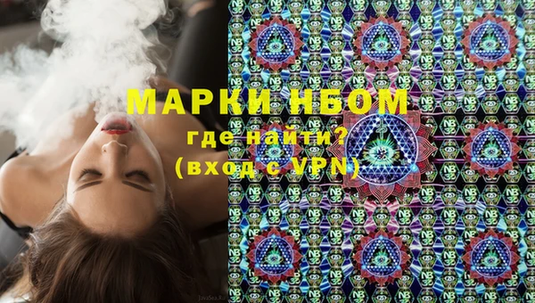 стафф Кулебаки