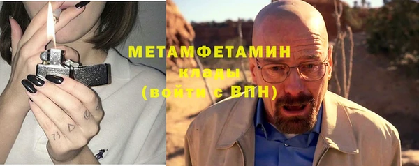 прущие грибы Куйбышев