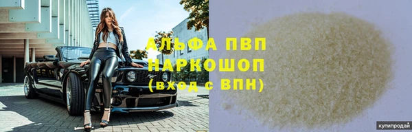 прущие грибы Куйбышев