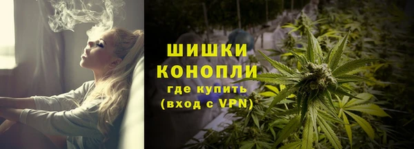стафф Кулебаки