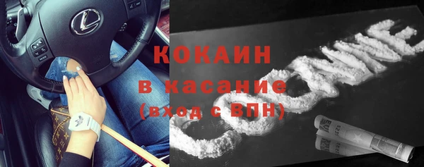 ПСИЛОЦИБИНОВЫЕ ГРИБЫ Кукмор