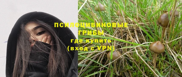 ПСИЛОЦИБИНОВЫЕ ГРИБЫ Кукмор