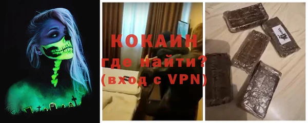 прущие грибы Куйбышев