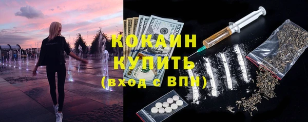 прущие грибы Куйбышев