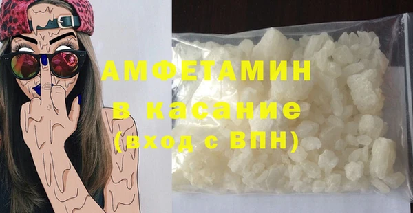 прущие грибы Куйбышев