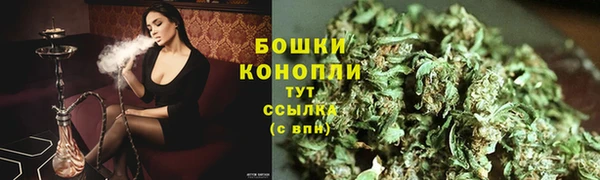 прущие грибы Куйбышев
