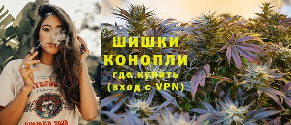 стафф Кулебаки