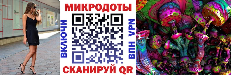 Галлюциногенные грибы Psilocybe  Купить  Красный Холм 